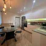 Rent 2 bedroom apartment of 55 m² in Milano