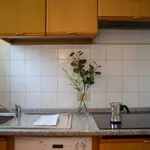 Rent 1 bedroom apartment in milan