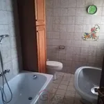 Rent 3 bedroom apartment of 100 m² in Padova