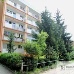 Rent 2 bedroom apartment of 43 m² in Gorzów Wielkopolski