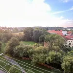 Rent 1 bedroom apartment of 29 m² in Prague