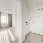 Rent 3 bedroom apartment in Prague