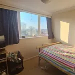 Rent 2 bedroom apartment in South East England