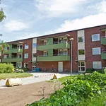 Rent 1 rooms apartment of 45 m² in Umeå