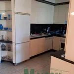 Rent 1 bedroom apartment of 78 m² in Palmyra