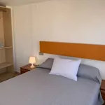 Alquilo 2 dormitorio apartamento de 60 m² en valencia