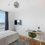 Rent a room of 101 m² in munich