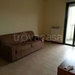 Rent 2 bedroom apartment of 70 m² in Novara