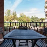 Rent 2 bedroom apartment of 45 m² in Roma