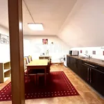 Rent 4 bedroom apartment in Ostrava