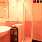 Rent 2 bedroom apartment of 63 m² in Brno