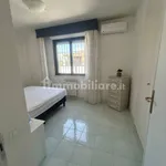 Penthouse viale Giacomo Matteotti 125, Centro, Nettuno