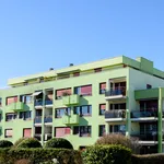 Rent 2 bedroom apartment of 56 m² in Yverdon-les-Bains