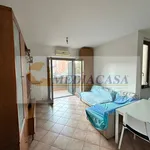 Rent 2 bedroom apartment of 50 m² in Rome