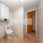 Pronajměte si 1 ložnic/e byt o rozloze 39 m² v Prague