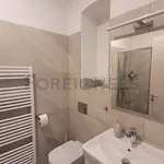 Pronajměte si 1 ložnic/e byt o rozloze 32 m² v Brno