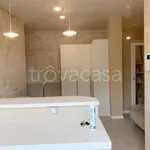 Rent 1 bedroom apartment of 30 m² in Concorezzo