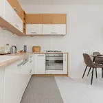 Rent 1 bedroom apartment in warsaw