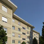 Rent 4 bedroom apartment of 79 m² in Uster