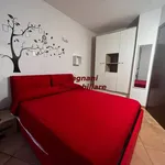 Rent 2 bedroom apartment of 48 m² in Velletri