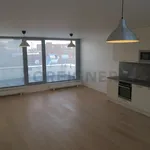 Rent 2 bedroom apartment of 82 m² in Brno