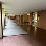 Rent 3 bedroom apartment of 97 m² in Torino