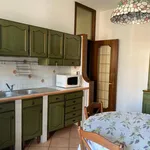 Rent 3 bedroom apartment of 160 m² in torino