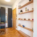 Rent 3 bedroom apartment of 75 m² in Pisa