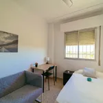 Rent a room of 100 m² in Sevilla