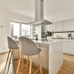 Huur 3 slaapkamer appartement van 223 m² in Amsterdam