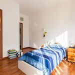 Rent a room of 110 m² in Roma