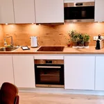 Rent 1 bedroom apartment of 50 m² in Dusseldorf