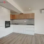 Rent 3 bedroom apartment of 118 m² in Trhový Štěpánov