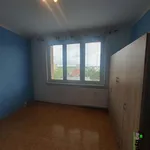 Pronajměte si 3 ložnic/e byt o rozloze 71 m² v Bor