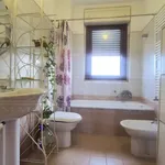 Rent 3 bedroom apartment of 90 m² in Roma