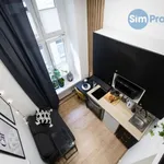 Rent 1 bedroom apartment in Brno