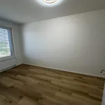 Rent 2 bedroom apartment of 60 m² in Praha