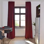 Rent 1 bedroom apartment of 40 m² in Brno