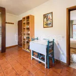 Rent 1 bedroom apartment of 40 m² in Firenze