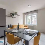 Rent 2 bedroom apartment of 50 m² in Milan