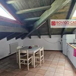 Rent 3 bedroom house of 75 m² in Rovigo