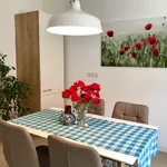 Rent 2 bedroom apartment of 60 m² in Ludwigshafen am Rhein