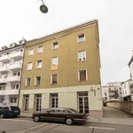 Rent 3 bedroom student apartment of 12 m² in München