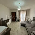 Rent 3 bedroom apartment of 79 m² in Grosseto