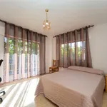 Rent 3 bedroom apartment in Granada