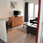 Rent 1 bedroom apartment in Brussels