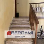 Rent 4 bedroom apartment of 67 m² in Roma