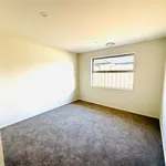 Rent 4 bedroom house in Christchurch