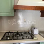 Rent 2 bedroom apartment of 70 m² in Cetraro