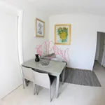 Rent 3 bedroom apartment of 50 m² in Venice